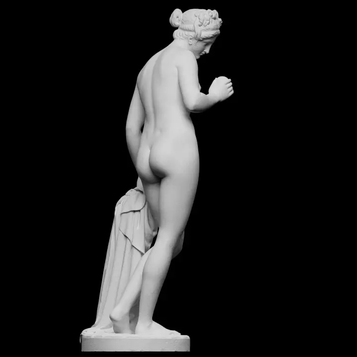 720X720-venus2.webp