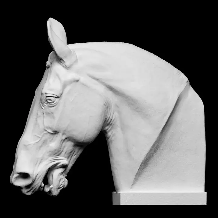 720X720-horse-heada (1).webp
