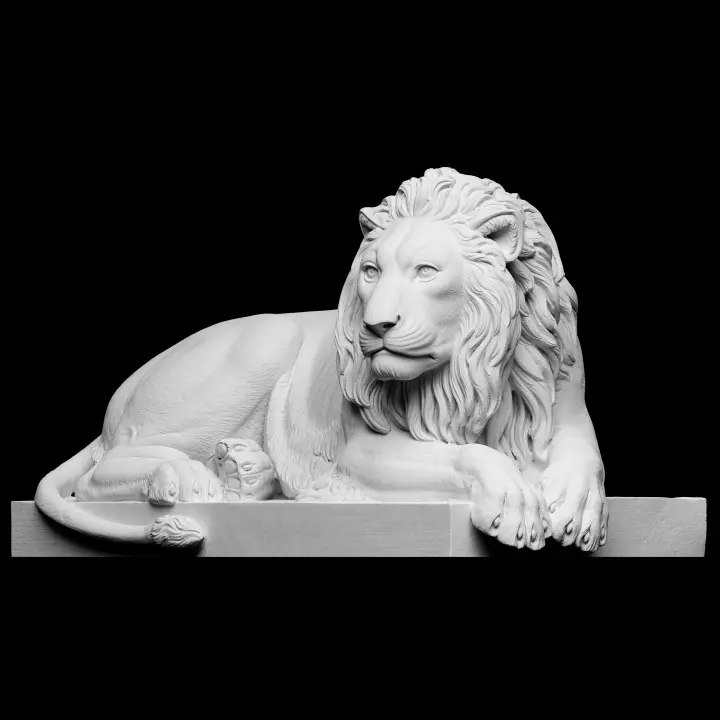 720X720-lion3 (1).webp