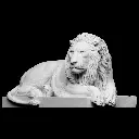 720X720-lion3 (1).webp