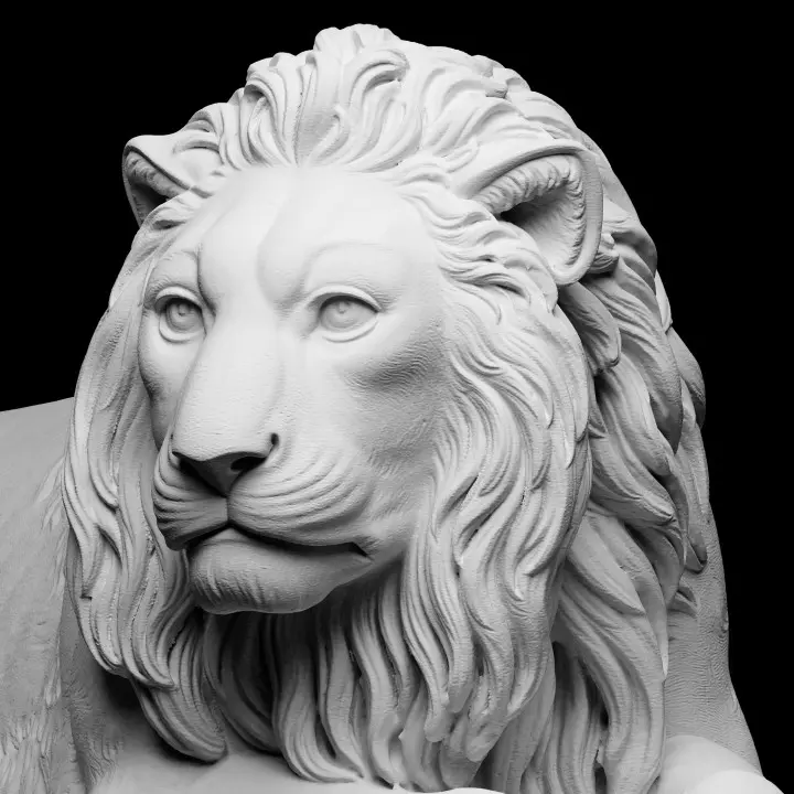 720X720-lion5.webp