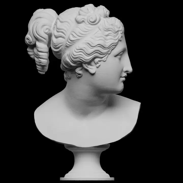 720X720-bust1 (2).webp