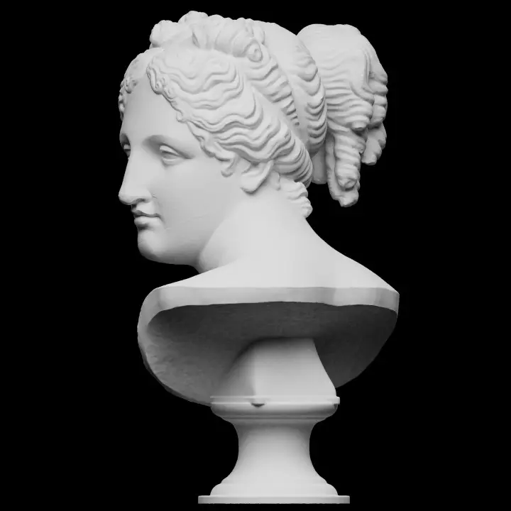 720X720-bust3 (2).webp
