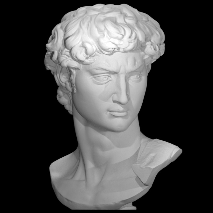 Statua testa David di Michelangelo 13cm
