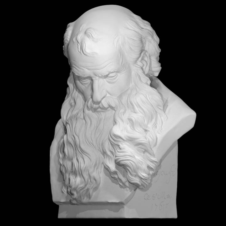 Statua busto vecchio barbuto di Augustin Pajou 25cm