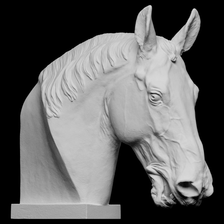 Statua equestre di Cristiano IX testa cavallo 20cm