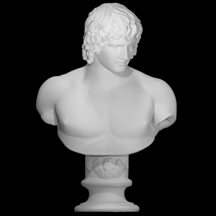 Statua Busto Antinoo 30cm